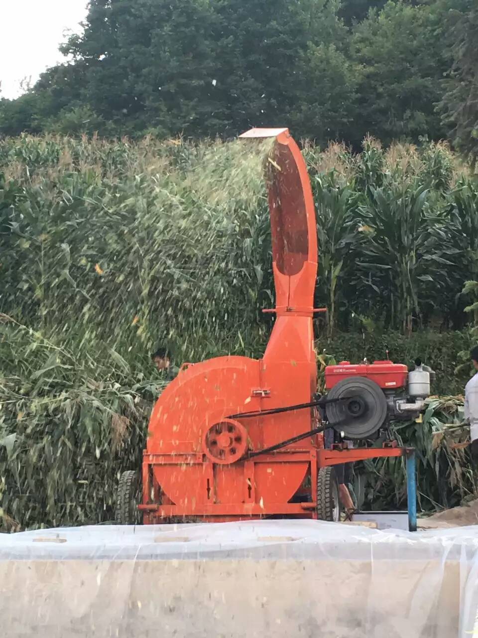 2022新款10噸雙變速箱鍘草揉絲機(jī)多少錢一臺(tái)？