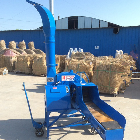 客戶用兩個(gè)電機(jī)帶動(dòng)鍘草機(jī)你看行嗎？
